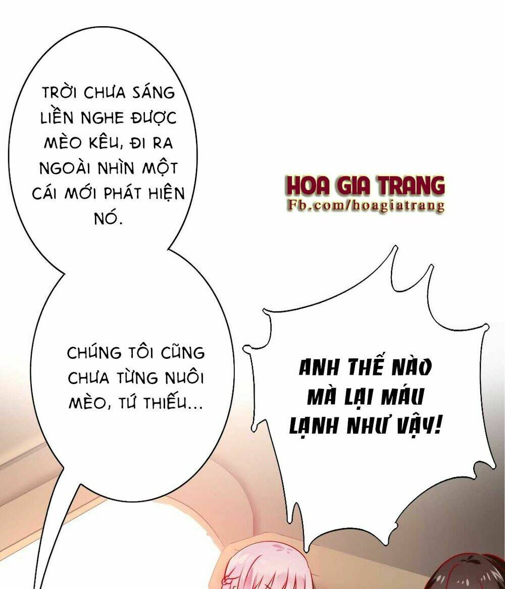 Phục Thù Thiếu Gia Tiểu Điềm Thê: Chapter 15