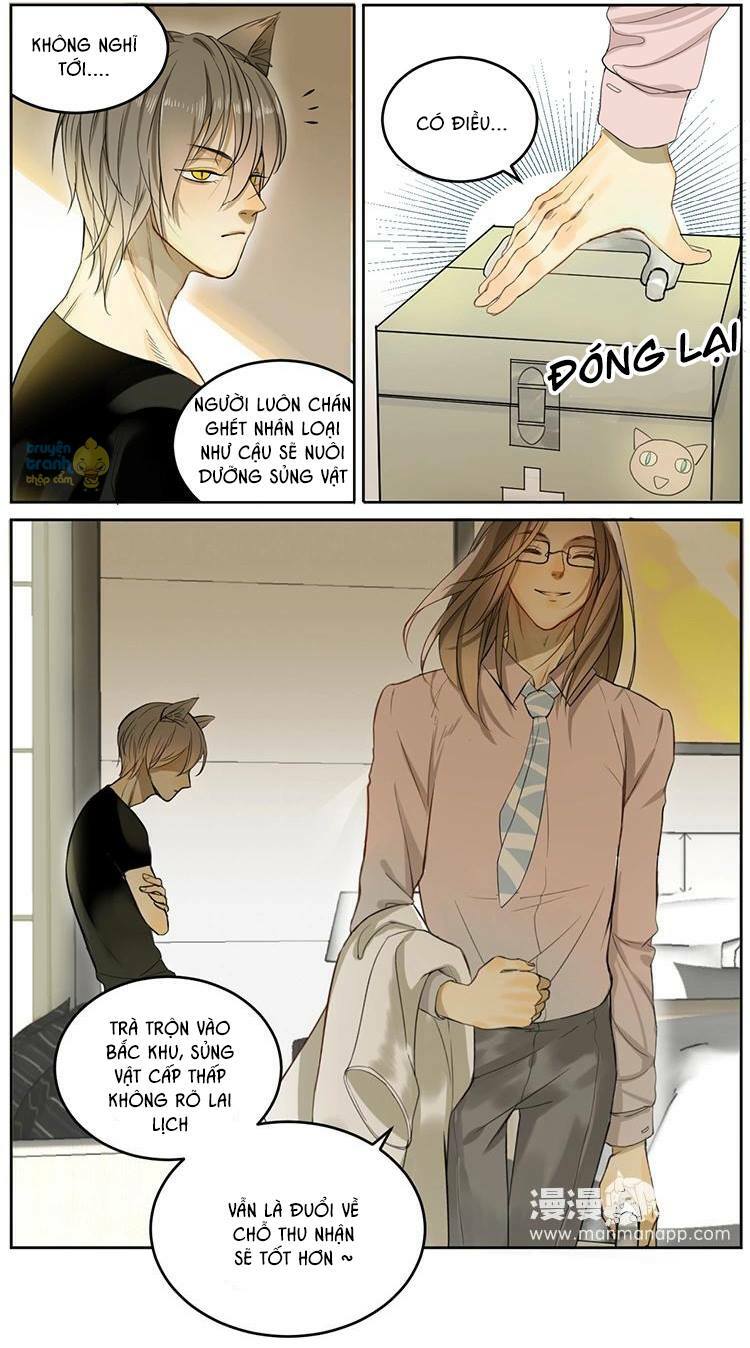 Cứu mạng ! Loài mèo thống trị thế giới rồi !: Chapter 4
