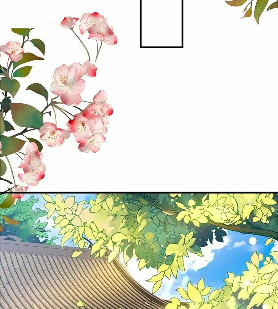 Thịnh Thế Lê Hoa Điện: Chapter 62