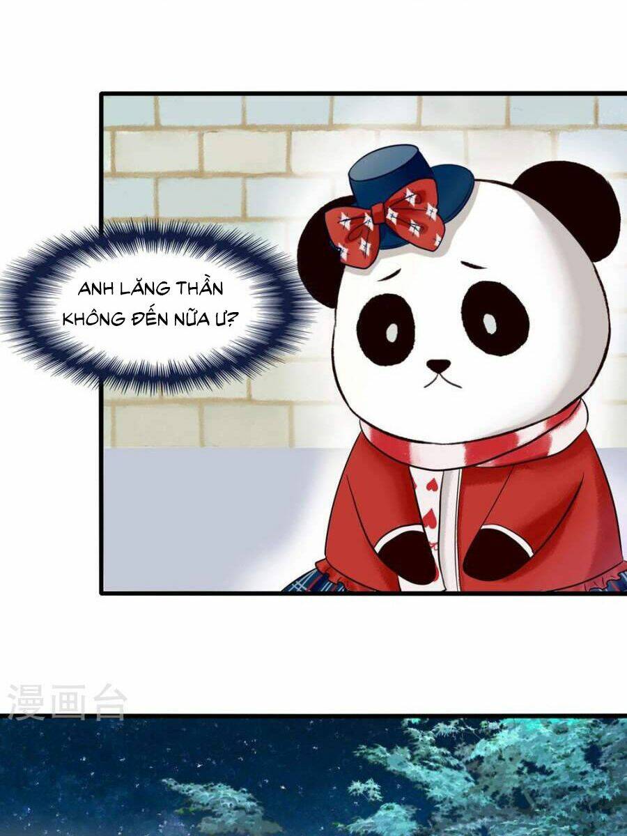 Tôi Bị Gấu Trúc Nhìn Trúng Rồi: Chapter 5