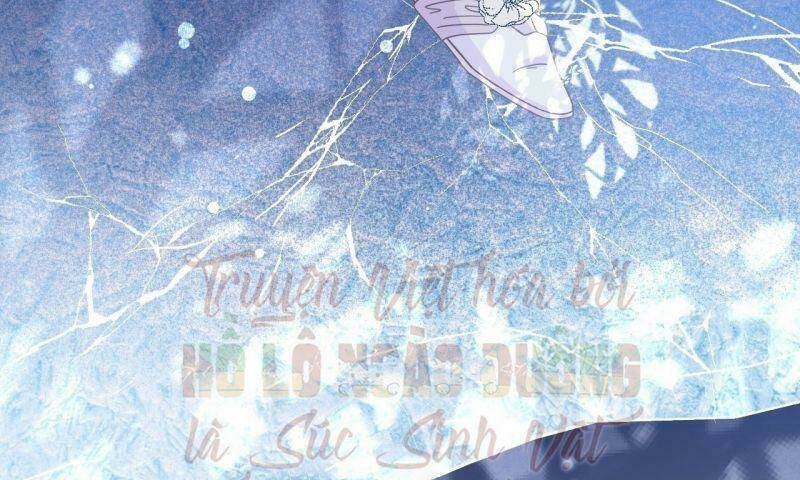 Không Thể Hòan Hảo Tuyệt Đối: Chapter 5