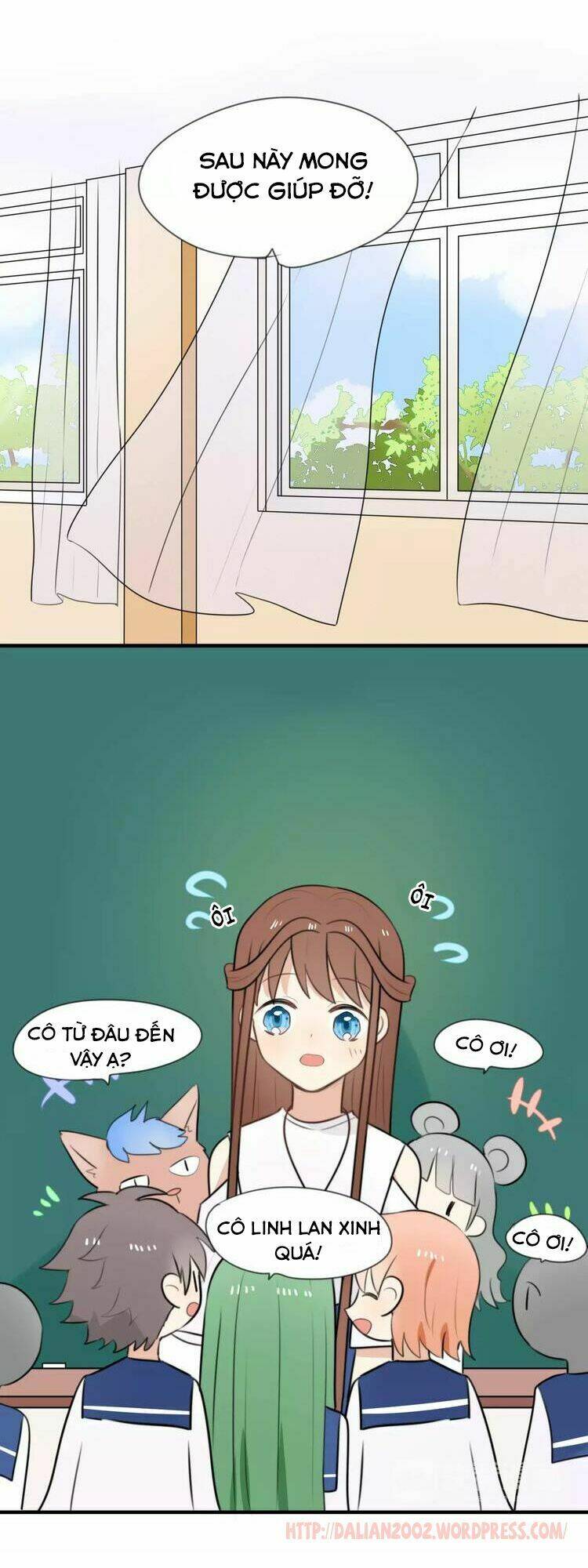 Tiểu Miêu Và Hắc Diệu Thạch: Chapter 5