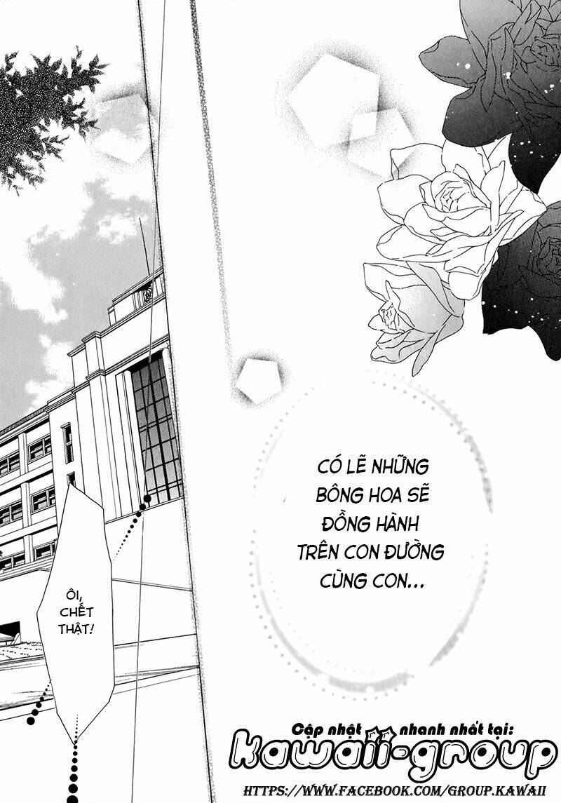 Nụ Hôn Của Công Chúa Tường Vi: Chapter 40