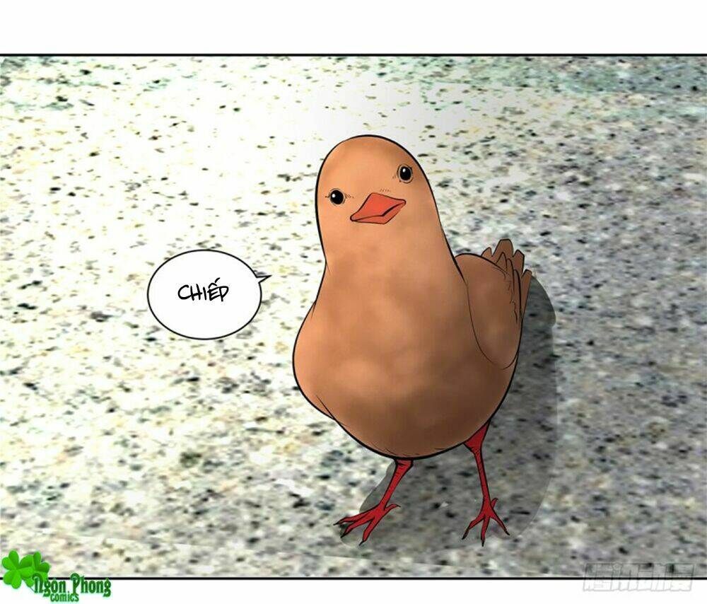 Hỏa Hồ: Chapter 45