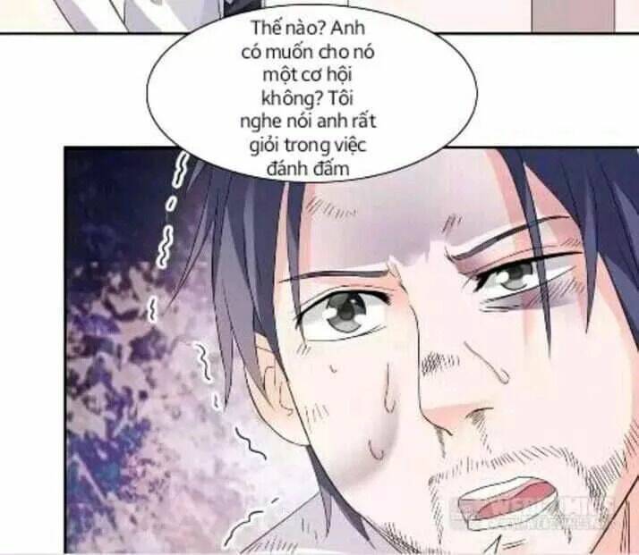 1 Nửa Hoàn Hảo Của Ceo: Chapter 19