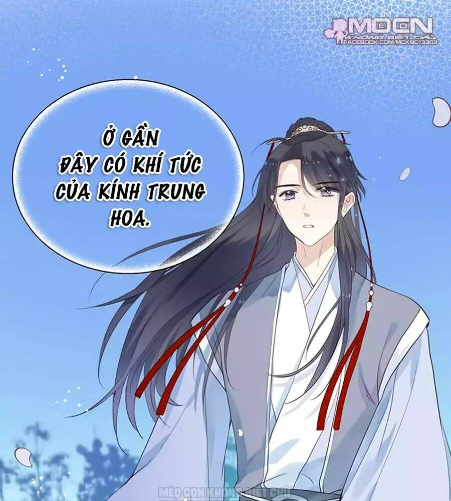 Kính Hoa Thương: Chapter 24