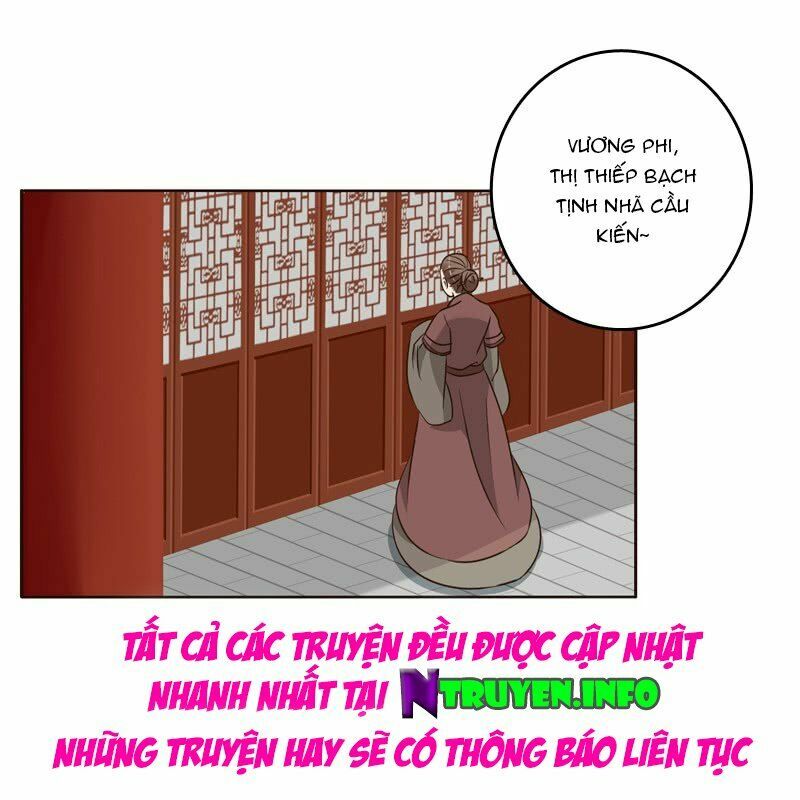 Thông Linh Phi: Chapter 219.5