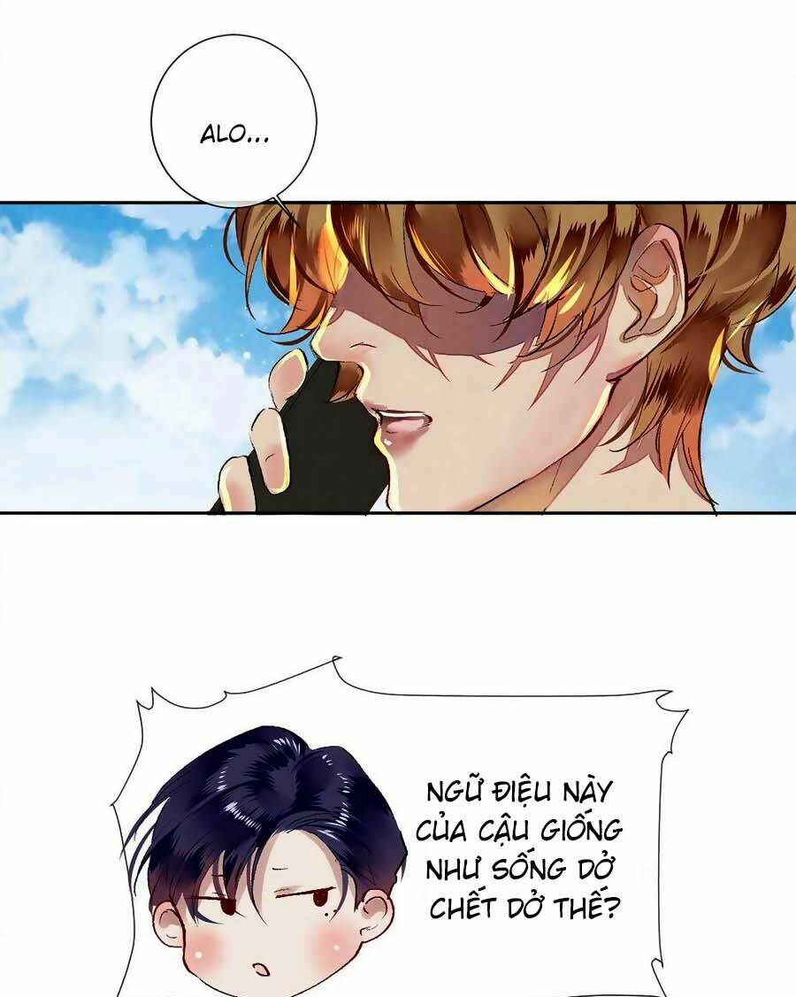 Chung Cư Của Các Ảnh Đế: Chapter 66