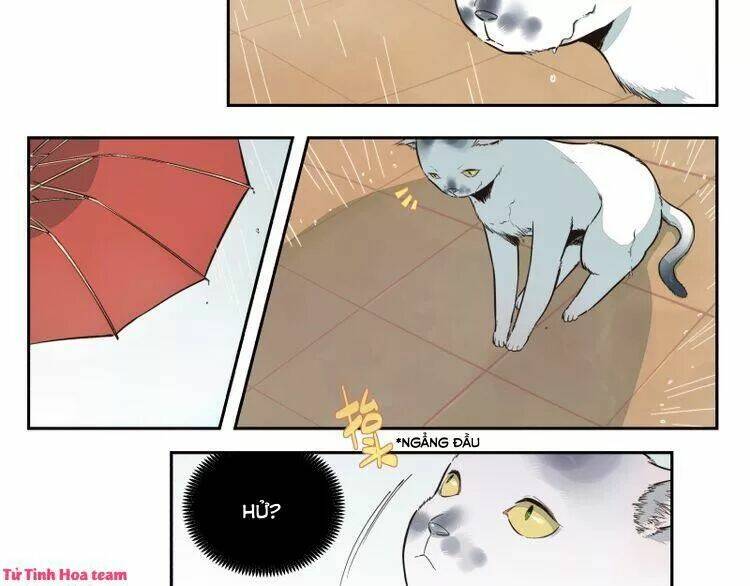 Thời Khắc Ấy, Chúng Ta Gặp Nhau: Chapter 20