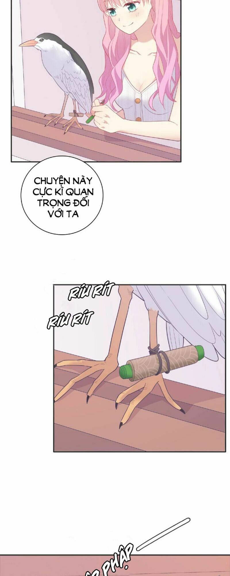 Vương Tử Thành Phố Và Công Chúa Amazon: Chapter 68