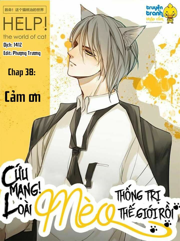 Cứu mạng ! Loài mèo thống trị thế giới rồi !: Chapter 38