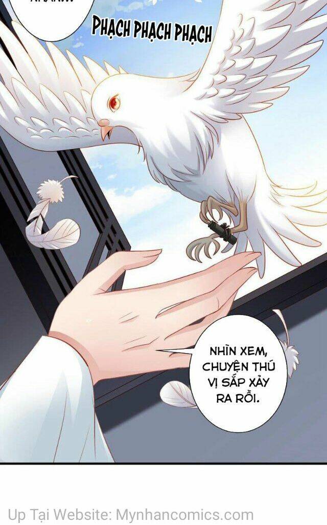 Thái Tử Điện Hạ Có Tin Vui: Chapter 95