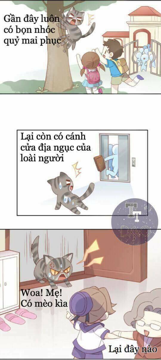 Dưới Móng Vuốt Mèo: Chapter 2