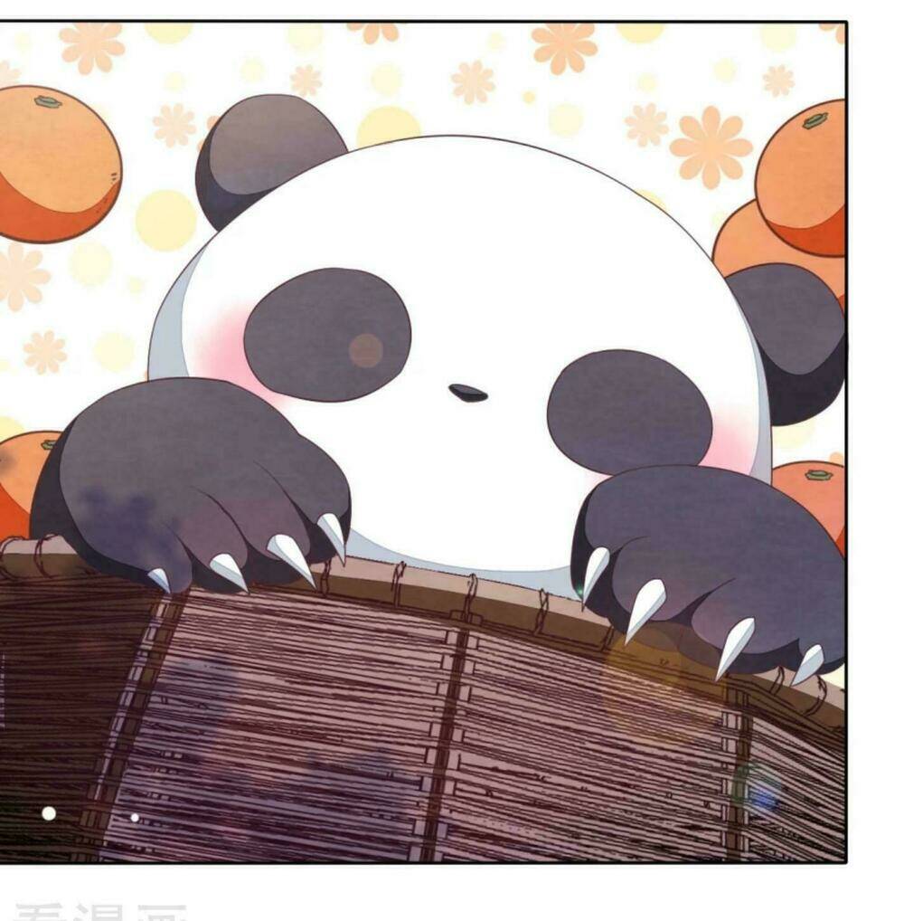 Xuyên Về Cổ Đại Làm Quốc Bảo: Chapter 11