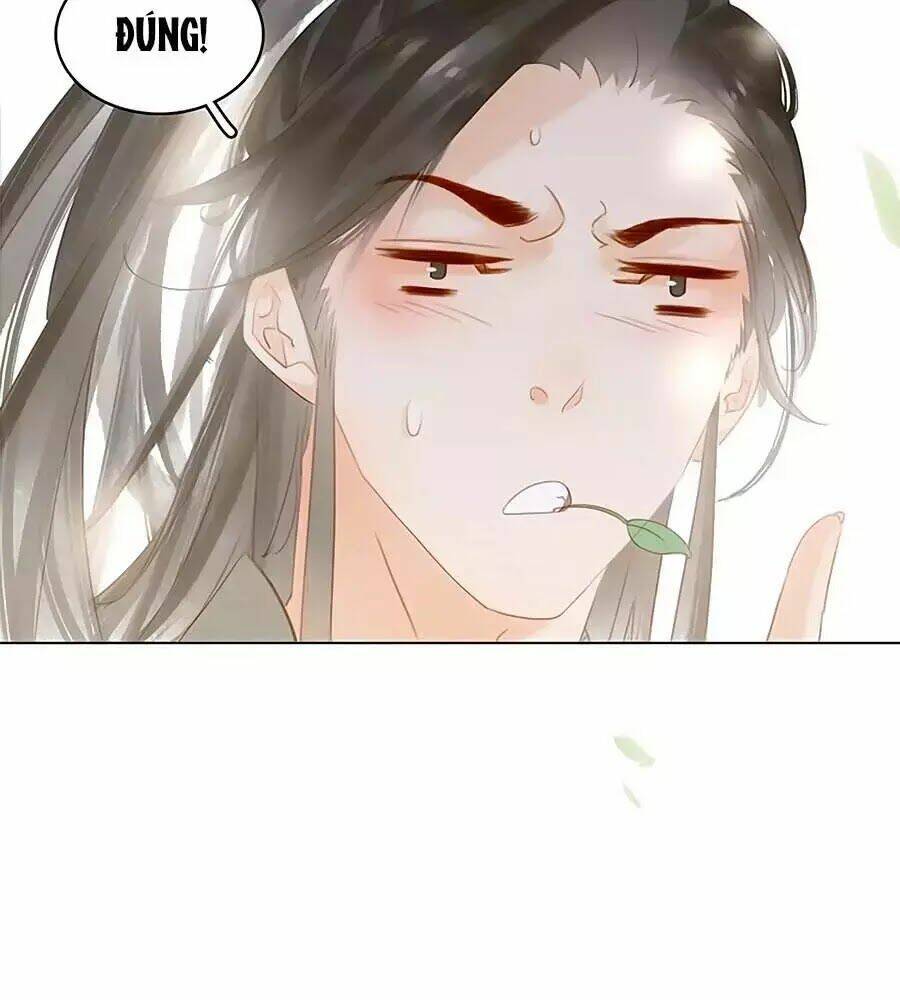 Tiểu Sư Phụ, Tóc Giả Của Ngài Rơi Rồi!: Chapter 15