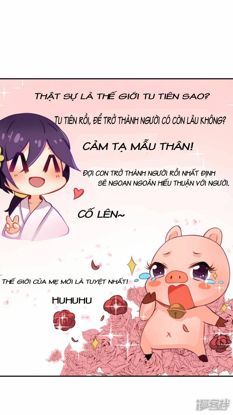 Đệ Tử Của Ta Là Heo: Chapter 2