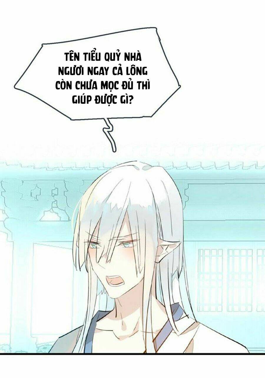 Sư Phụ Lại Trêu Chọc Ta: Chapter 61