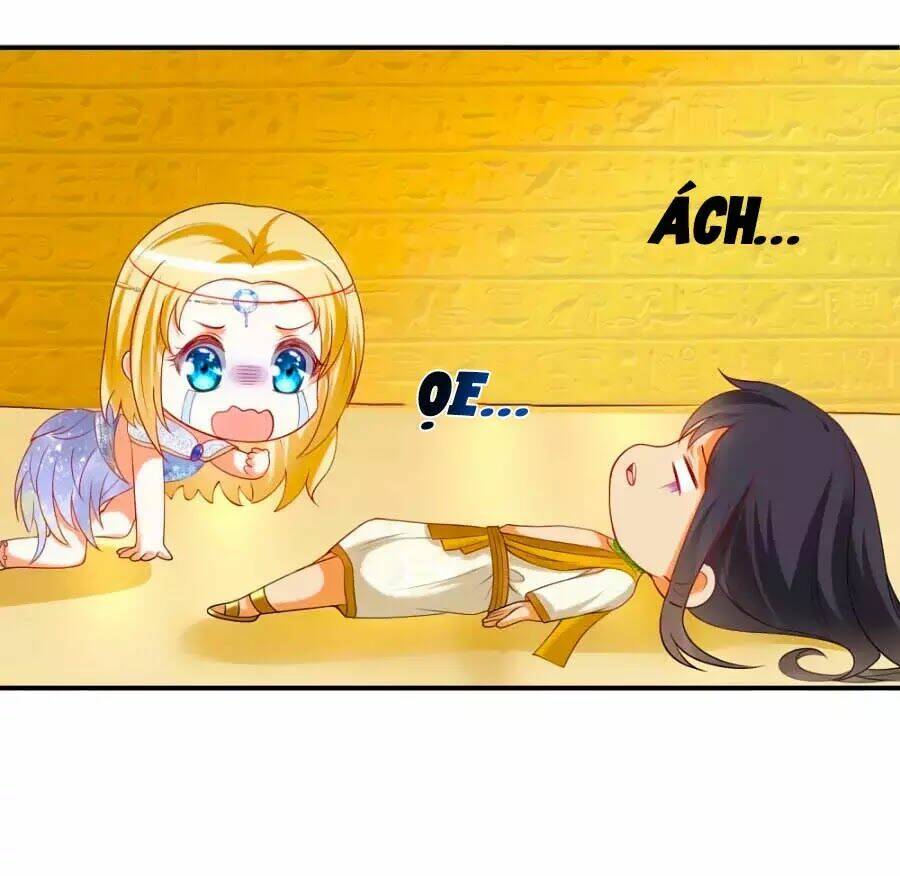 Sủng Hậu Của Vương: Chapter 23
