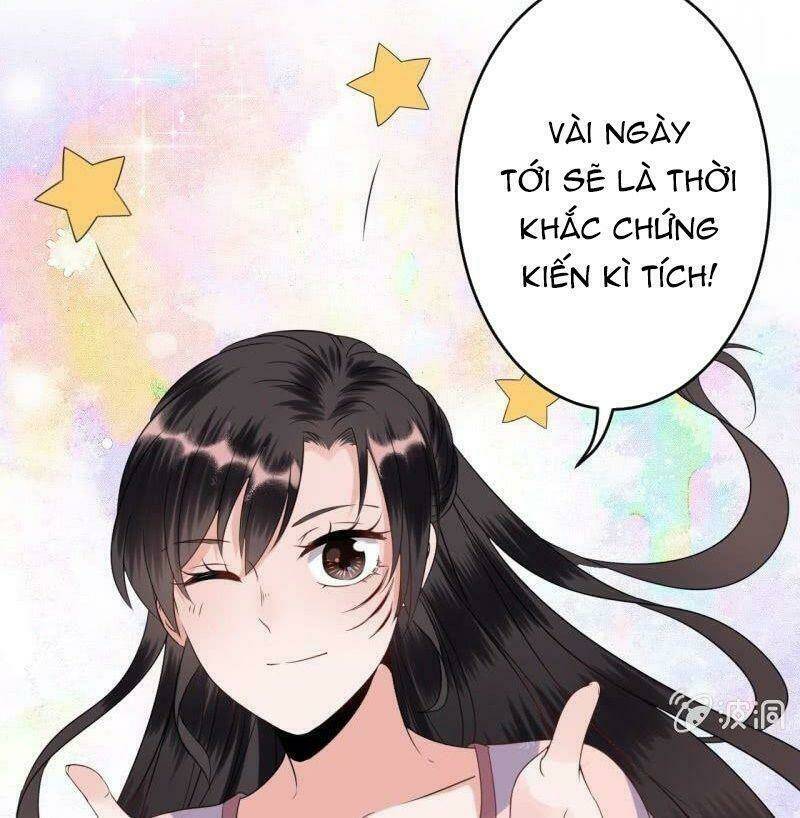 Vương Gia Kiêu Ngạo Quá Khó Cua: Chapter 62