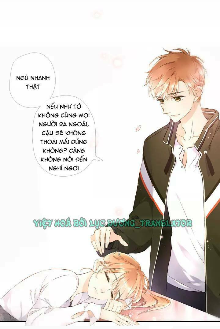 Tình yêu là màu hoa anh thảo: Chapter 20.5
