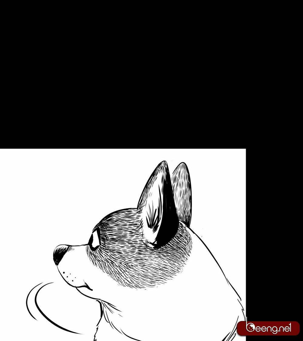 Dạ Hành Khuyển: Chapter 3
