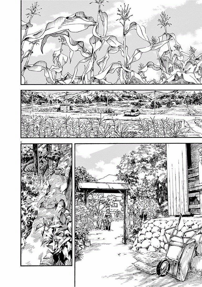 Neko No Otera No Chion-San: Chapter 37