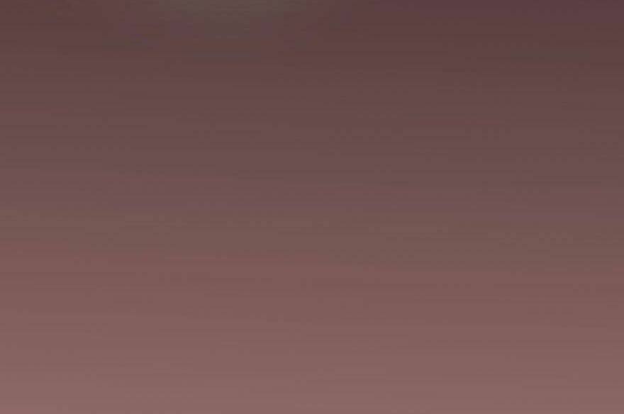 Truy Bắt Ngao Ngao: Chapter 43