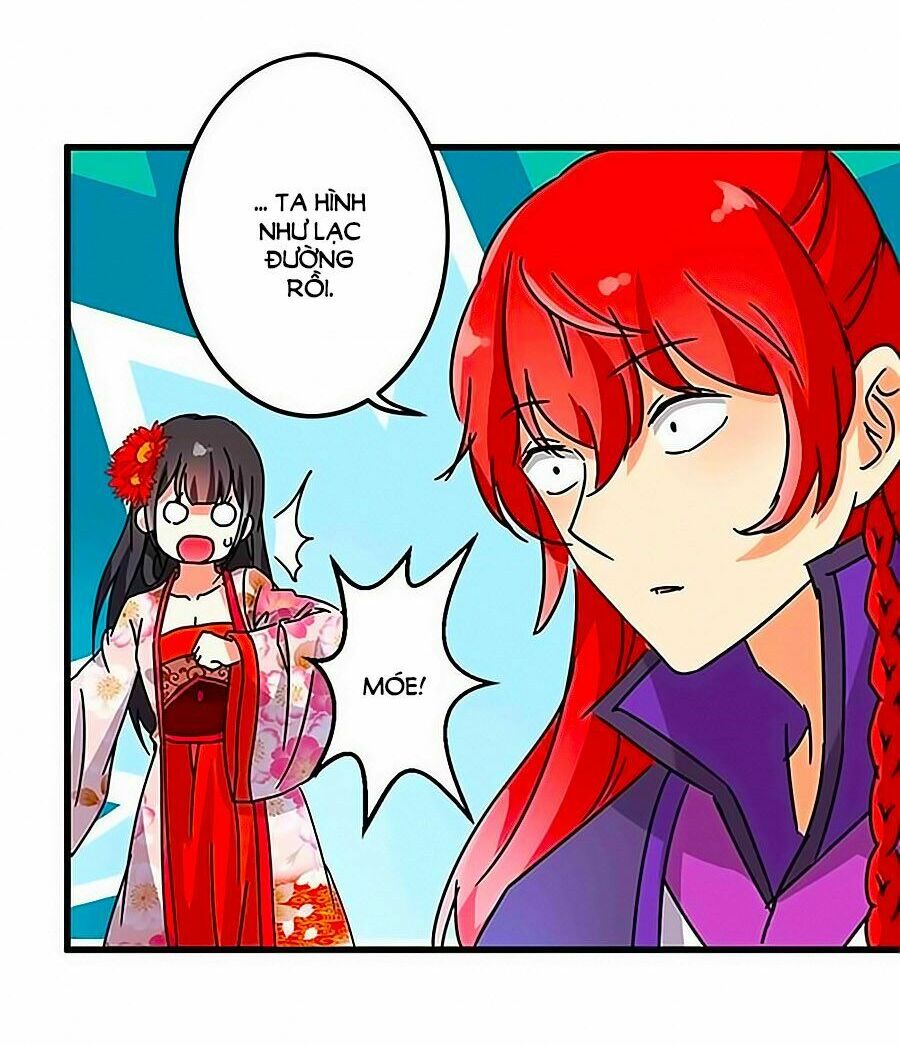 Vương Gia ! Ngươi Thật Bỉ Ổi !: Chapter 212