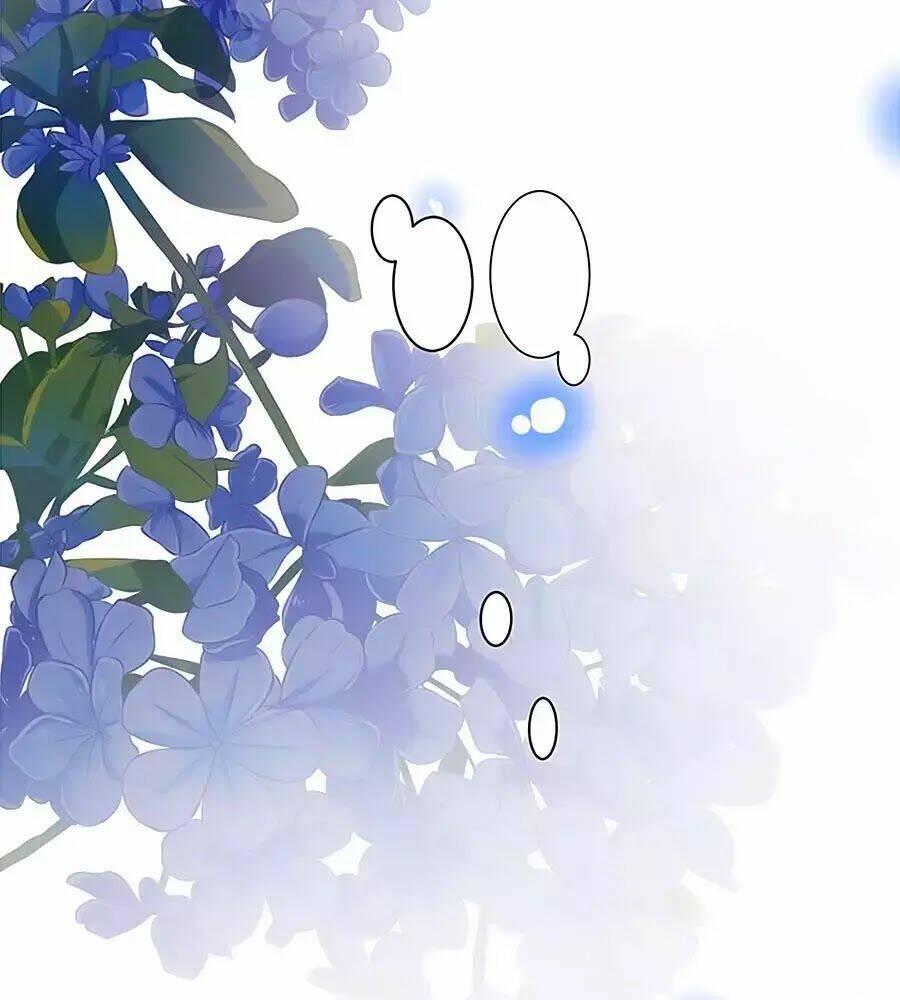 Thịnh Thế Lê Hoa Điện: Chapter 96