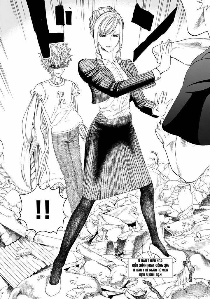 Hataraku Saibou!: Chapter 24