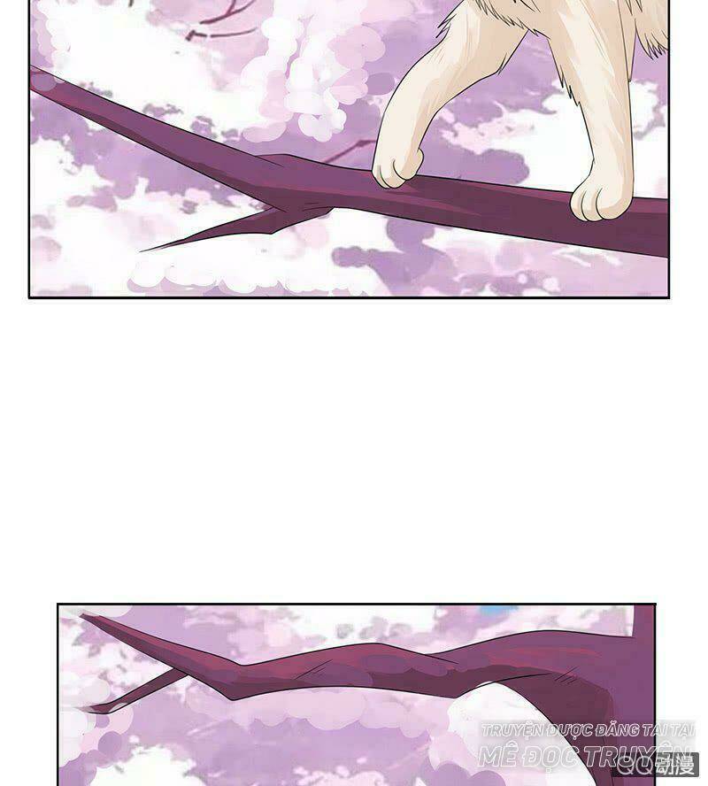 Băng Sơn Học Trưởng Không Được Chọc: Chapter 53.1