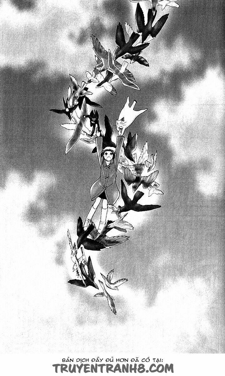 Lời Thì Thầm Từ Trái Tim: Chapter 8