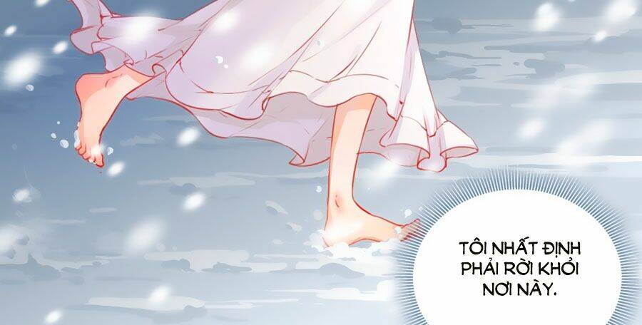 Lưu Luyến Nguy Tình: Chapter 1