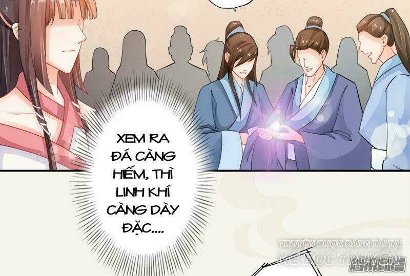 Tuyệt Thế Luyện Đan Sư: Chapter 6