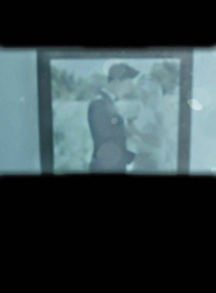 Dead Days: Chapter 23