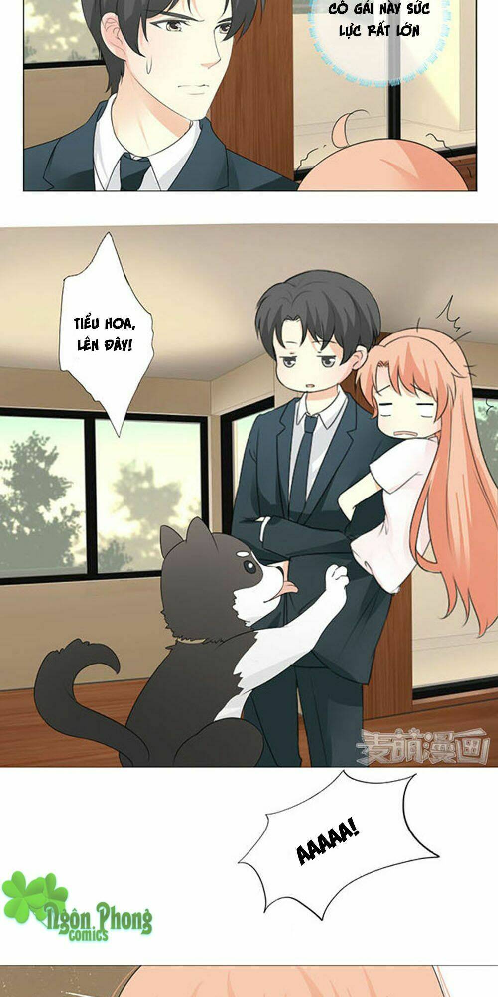 Tổng Tài Bá Đạo Là Gay: Chapter 5