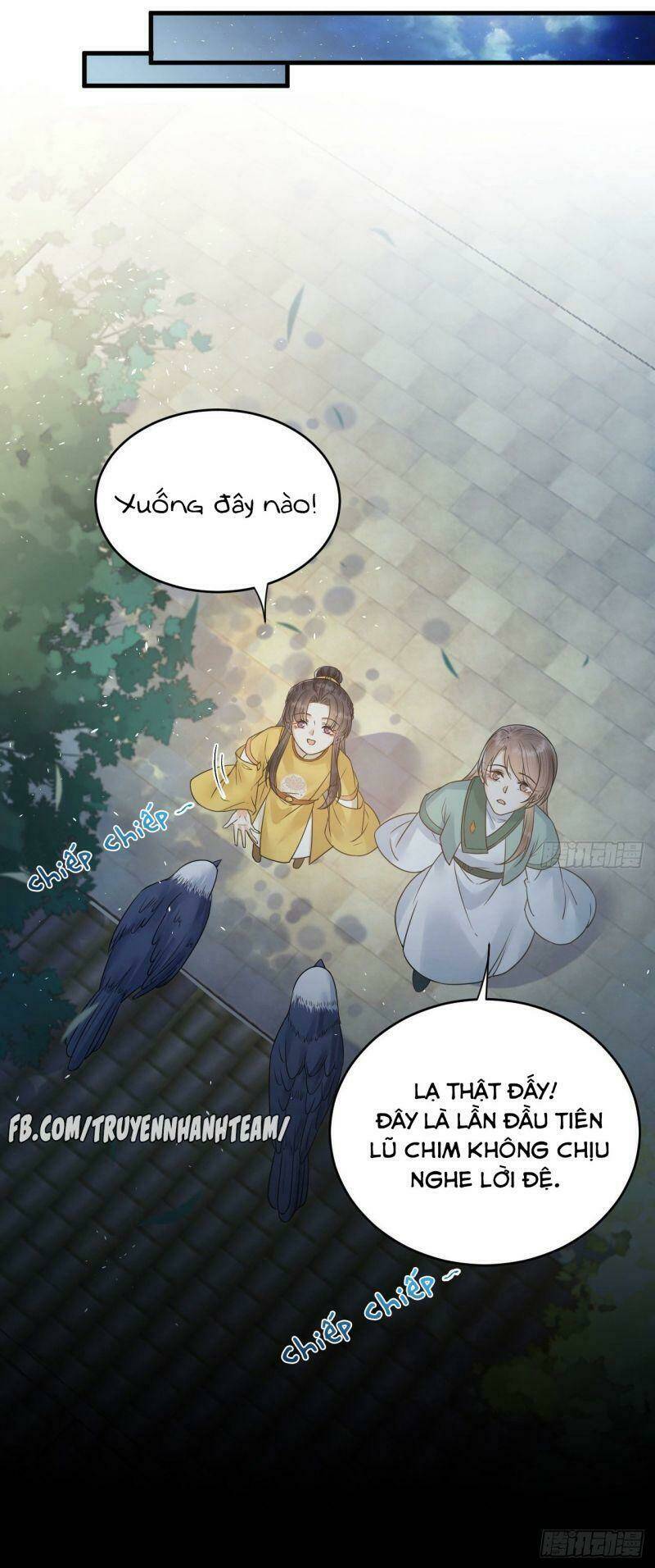 Lễ Băng Nhạc Phôi Chi Dạ: Chapter 51