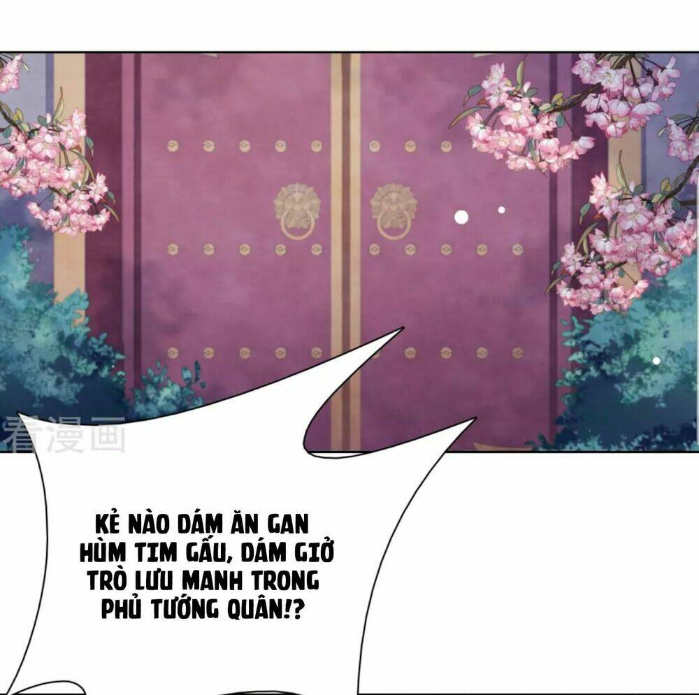 Xuyên Về Cổ Đại Làm Quốc Bảo: Chapter 41