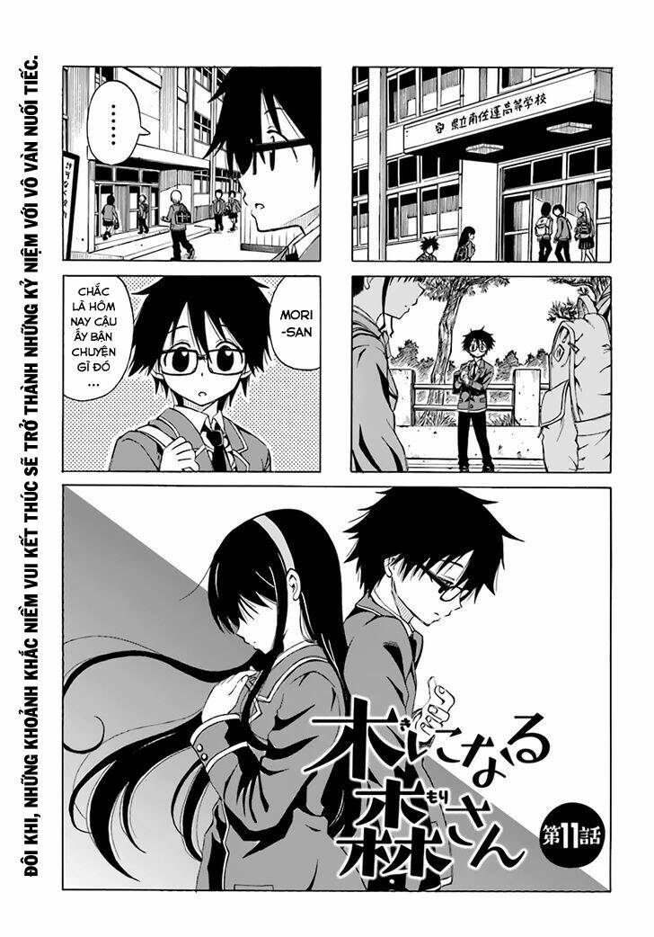 Ki Ni Naru Mori-San: Chapter 11