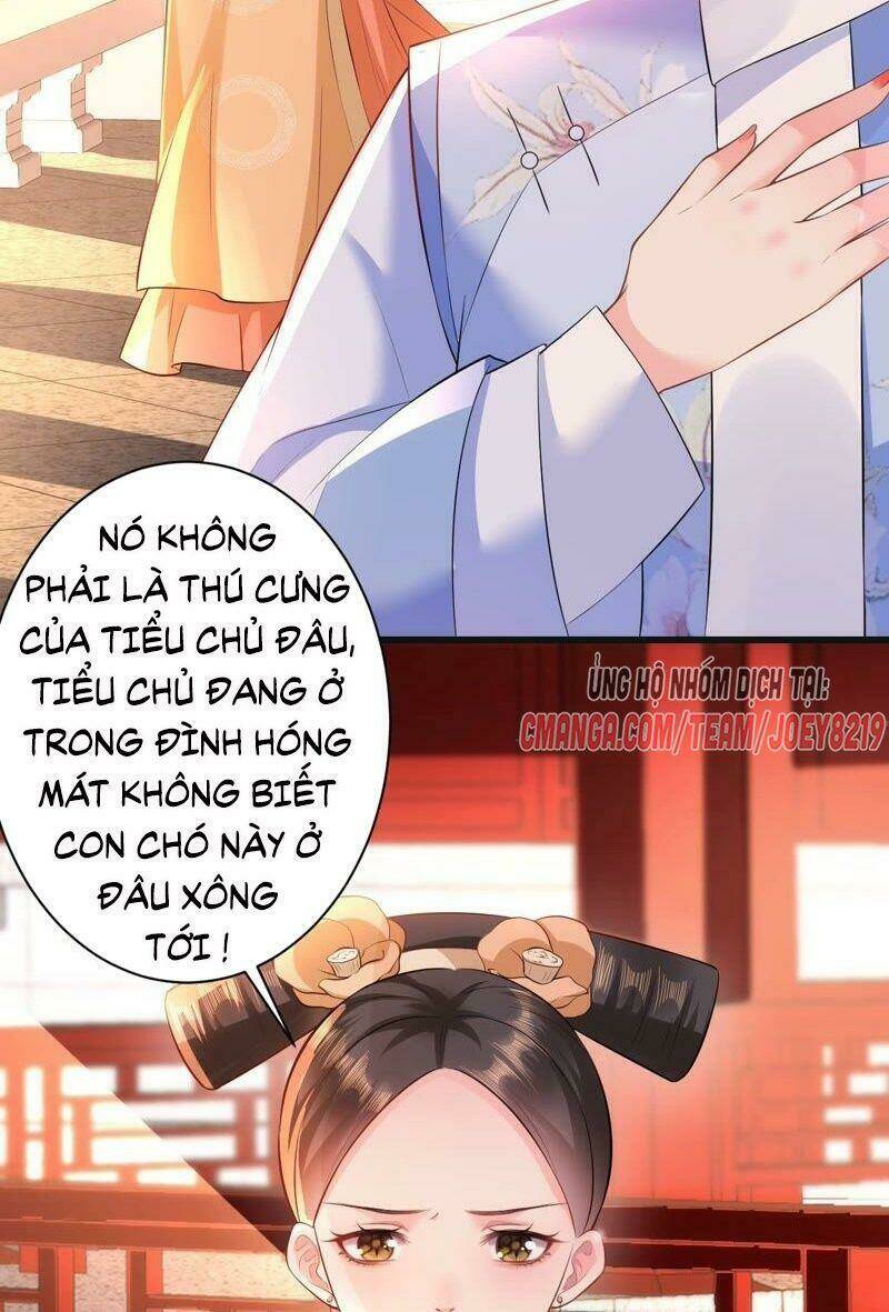 Quận Chúa Vững Vàng, Thiết Lập Nhân Vật Không Thể Vỡ: Chapter 55