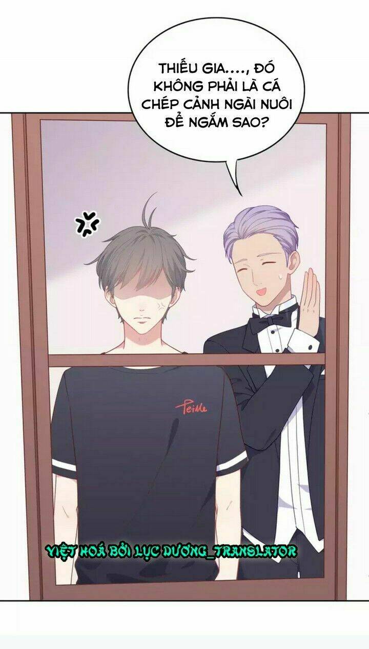 Vương Tử Thành Phố Và Công Chúa Amazon: Chapter 4