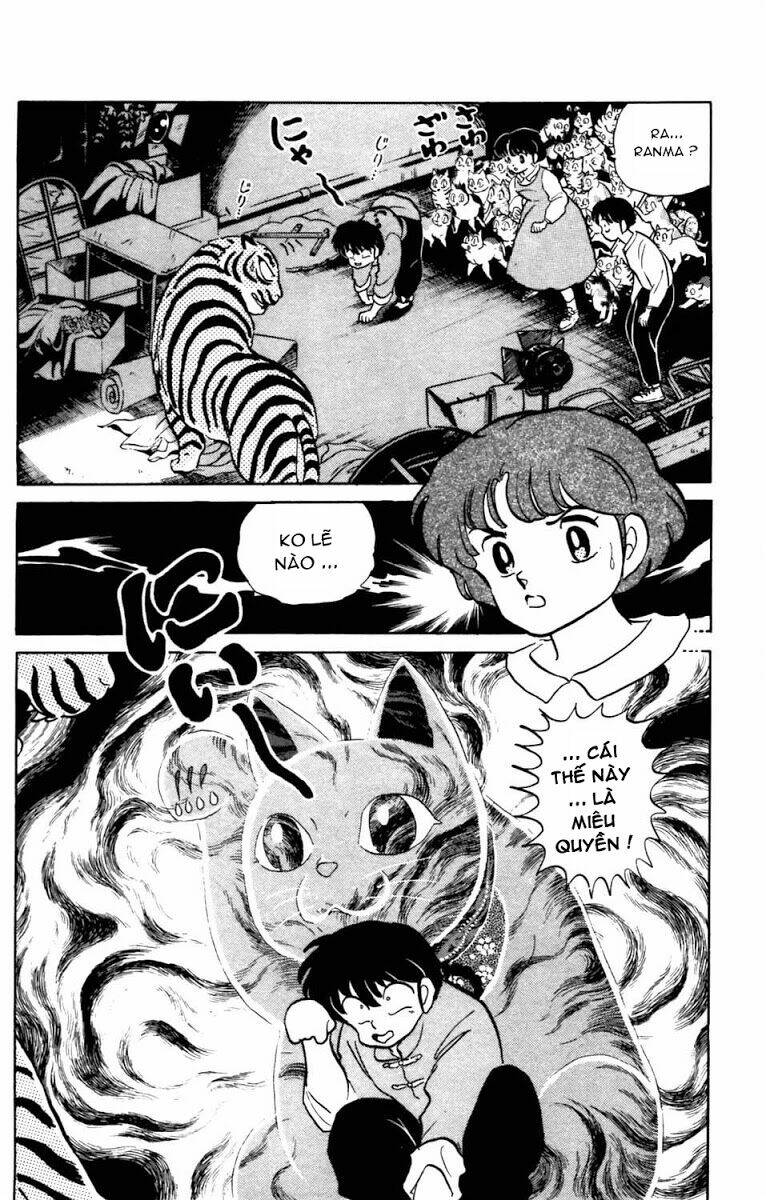 Suối Lời Nguyền: Chapter 40