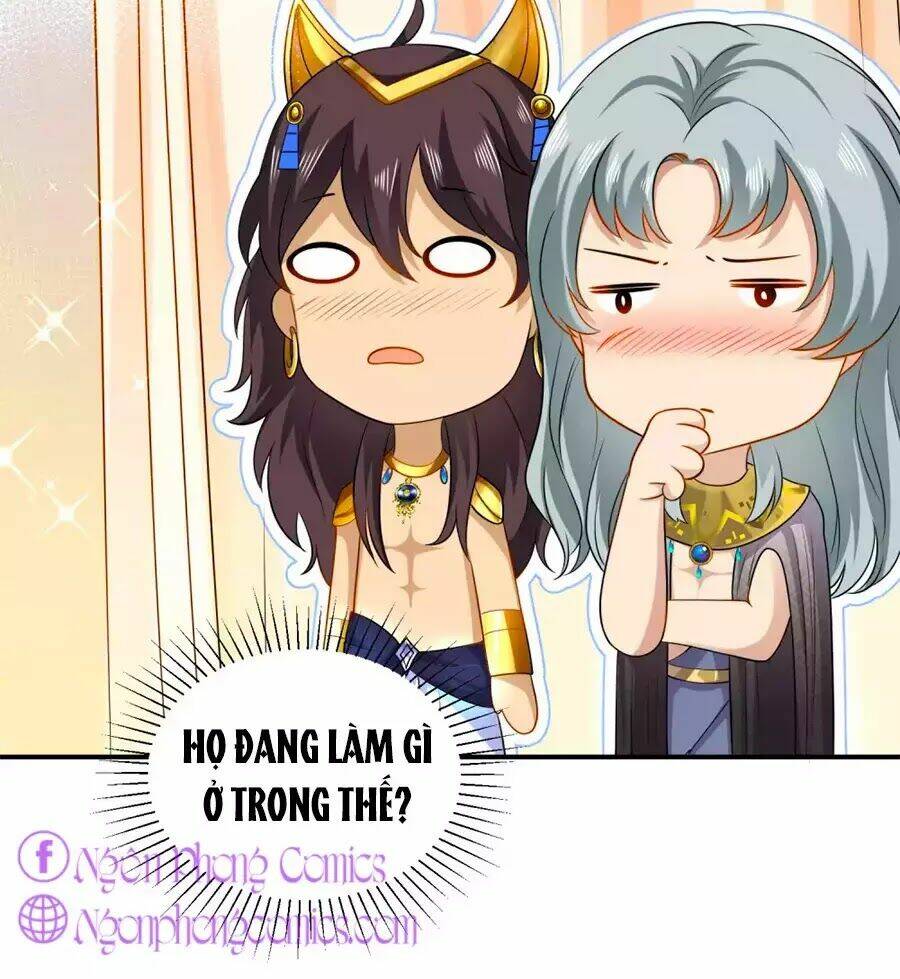 Sủng Hậu Của Vương: Chapter 9