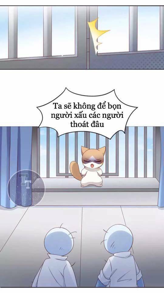 Dưới Móng Vuốt Mèo: Chapter 15