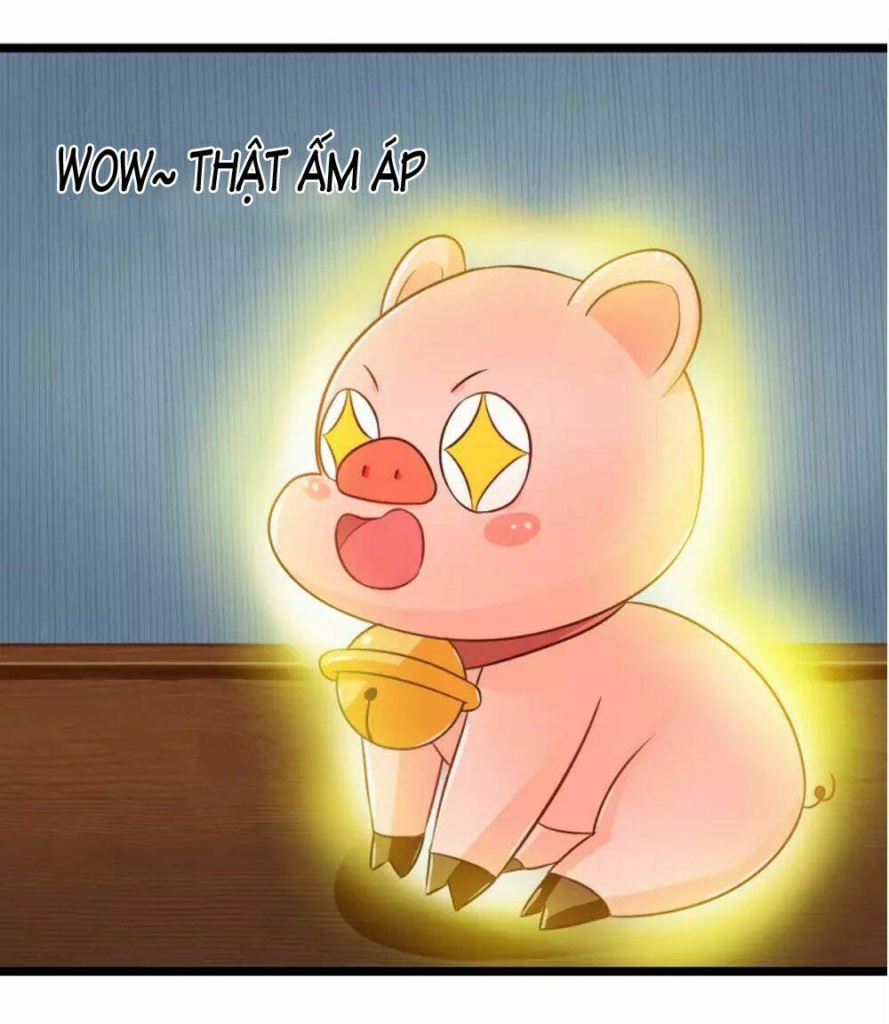 Đệ Tử Của Ta Là Heo: Chapter 4