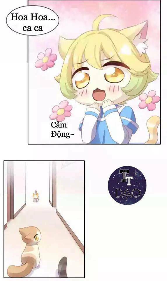 Dưới Móng Vuốt Mèo: Chapter 11