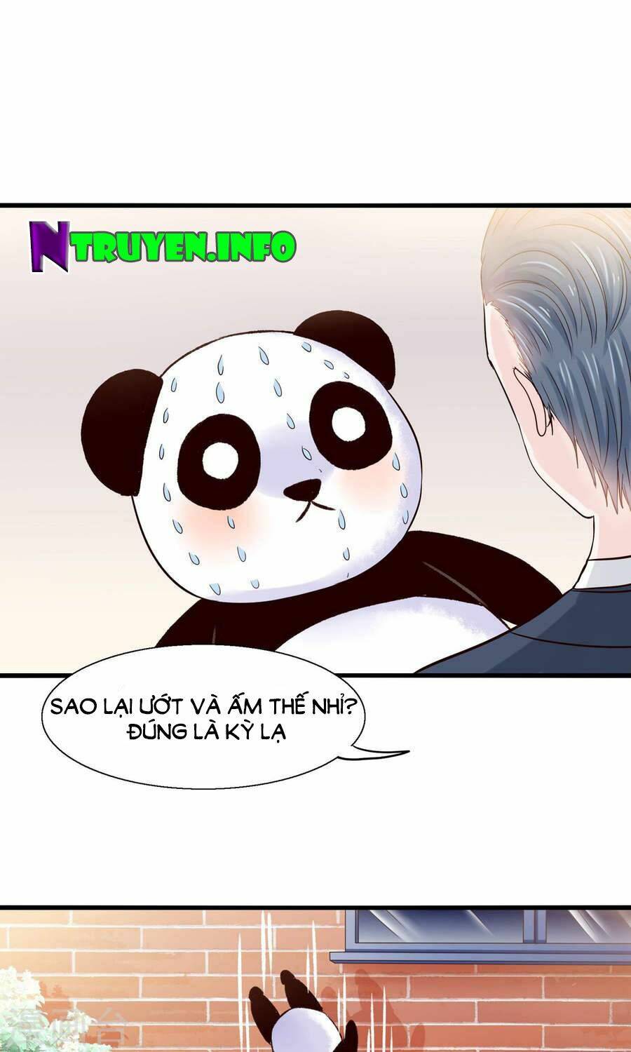 Tôi Bị Gấu Trúc Nhìn Trúng Rồi: Chapter 11