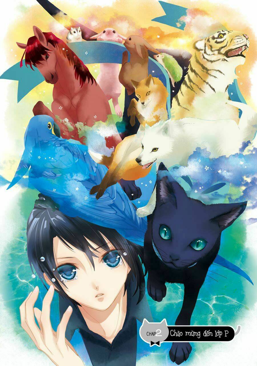 Bạn Cùng Lớp Của Shiraishi-Kun: Chapter 2