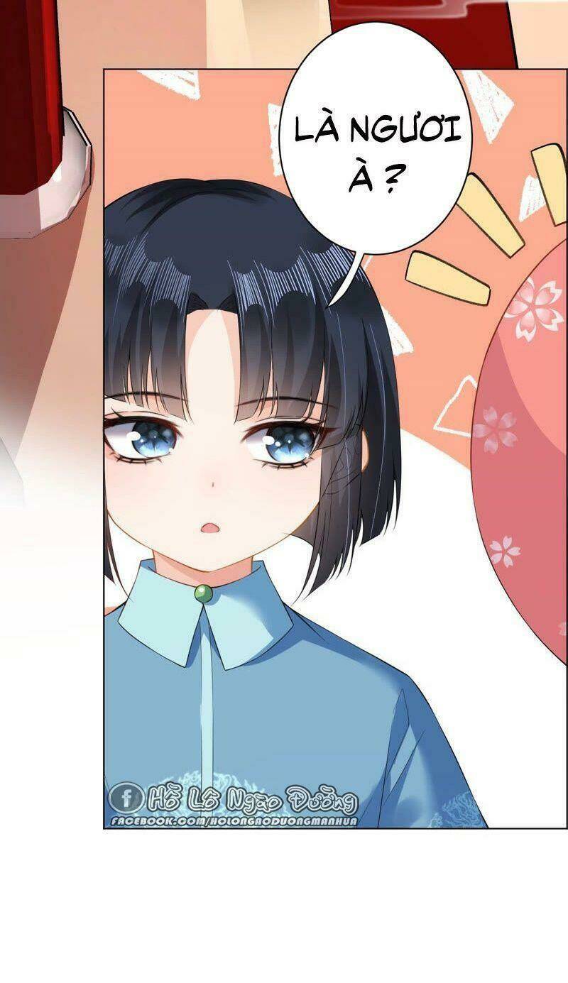 Quận Chúa Vững Vàng, Thiết Lập Nhân Vật Không Thể Vỡ: Chapter 25