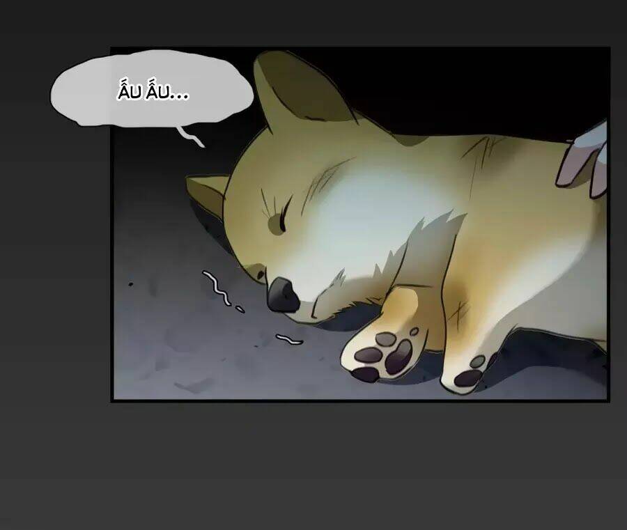 Toàn Cơ Từ: Chapter 49.2